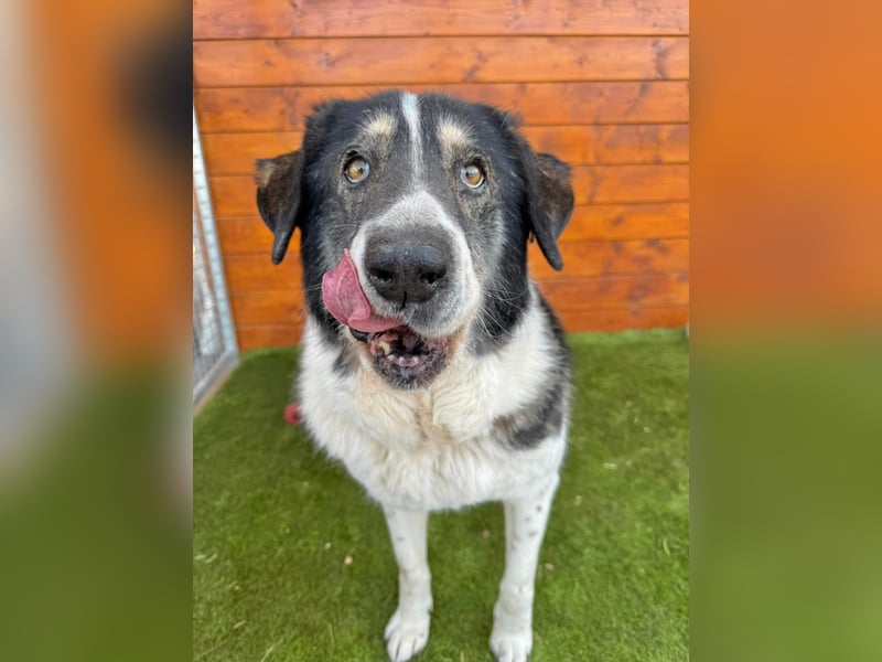 Kiriam - liebenswert, ruhig