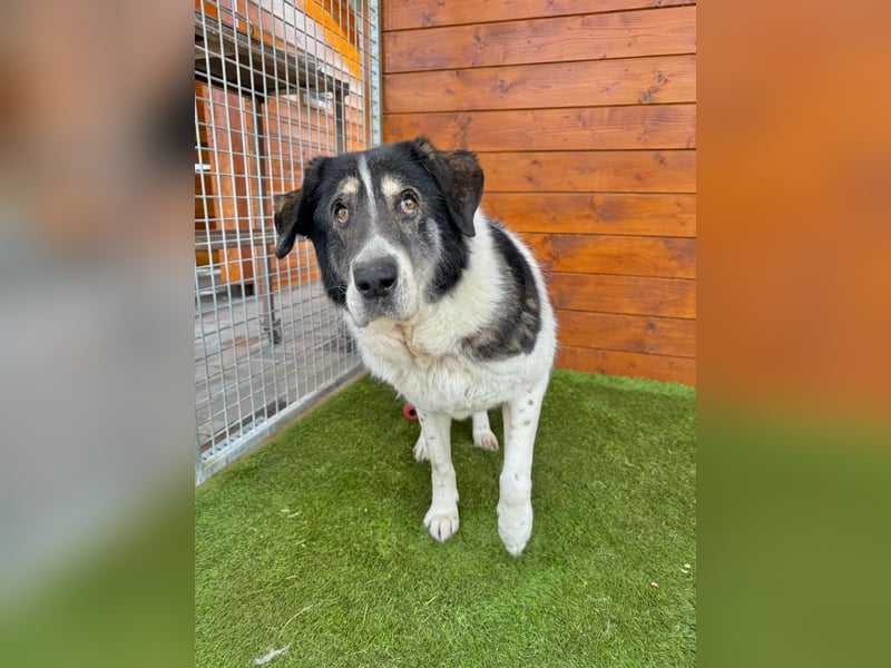 Kiriam - liebenswert, ruhig