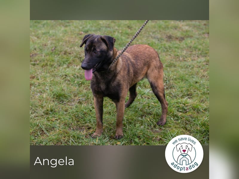 Angela sucht ein Zuhause