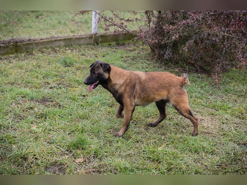 Angela sucht ein Zuhause