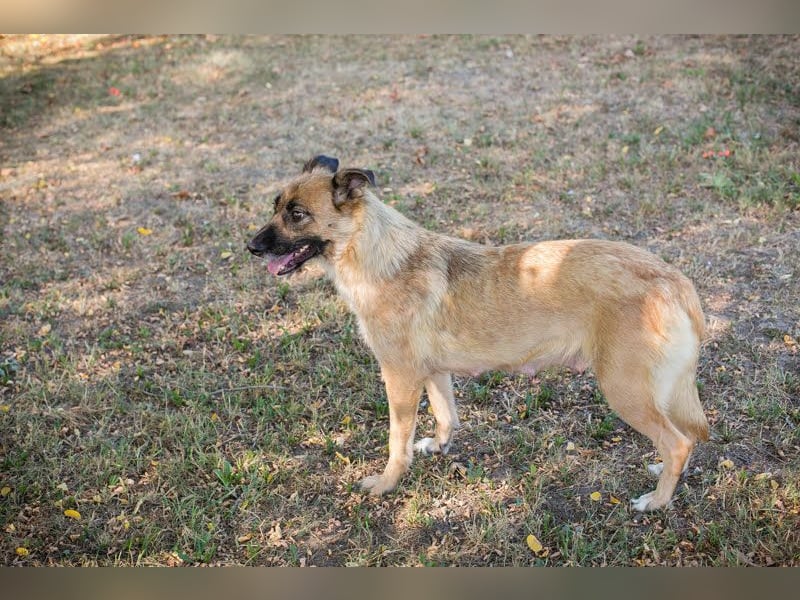 Rube: Sucht ein Zuhause