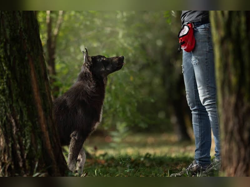 Yondu: Tapferer Schatz