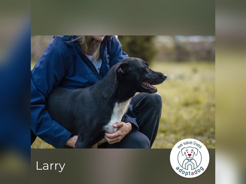 Larry: Sportskanone sucht Gleichgesinnte