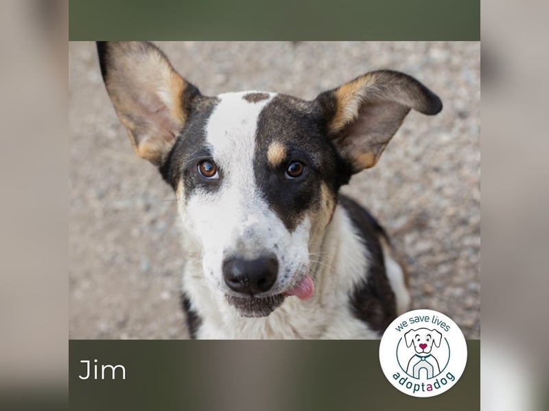 Jim: Sucht ein Abenteuer