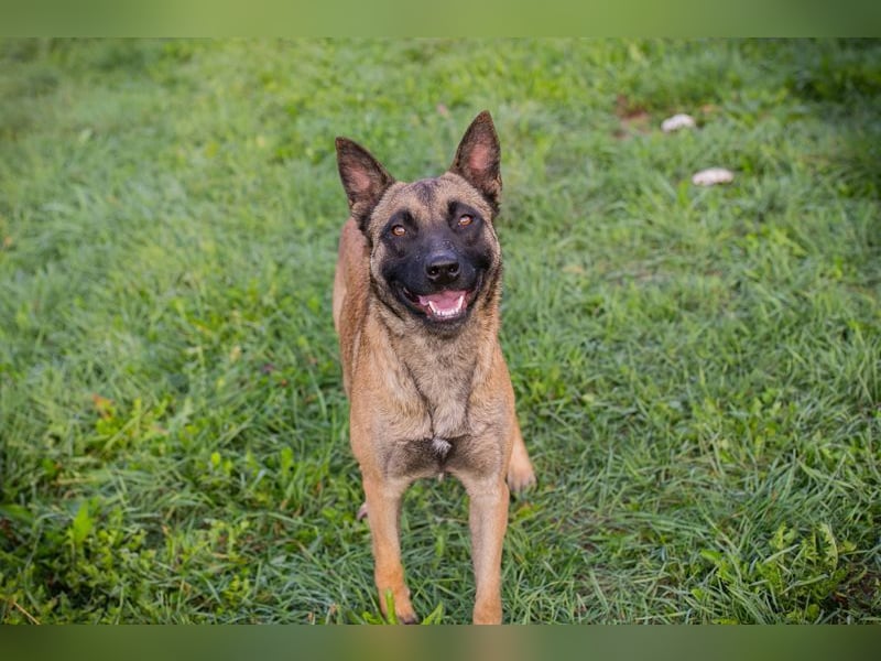 Dete: Sucht ein Zuhause