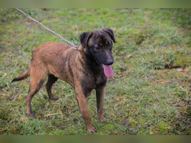 Angela sucht ein Zuhause