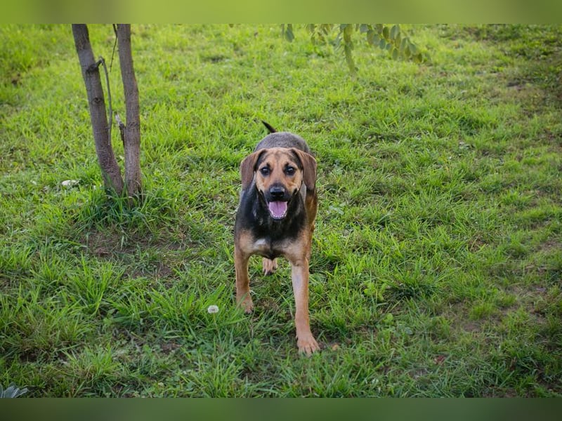 Milena: Sucht ein Zuhause