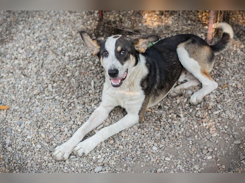 Jim: Sucht ein Abenteuer