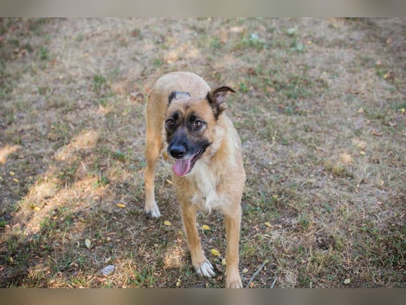 Rube: Sucht ein Zuhause