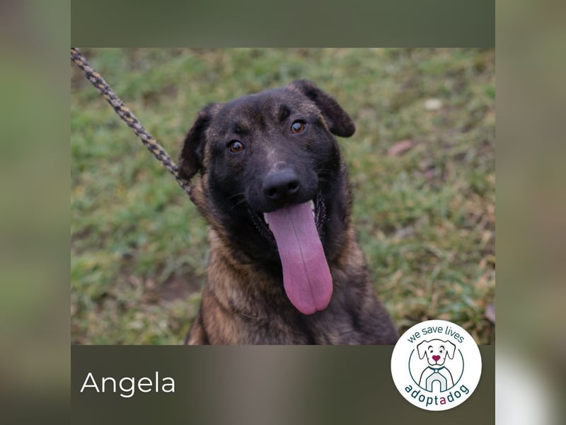 Angela sucht ein Zuhause