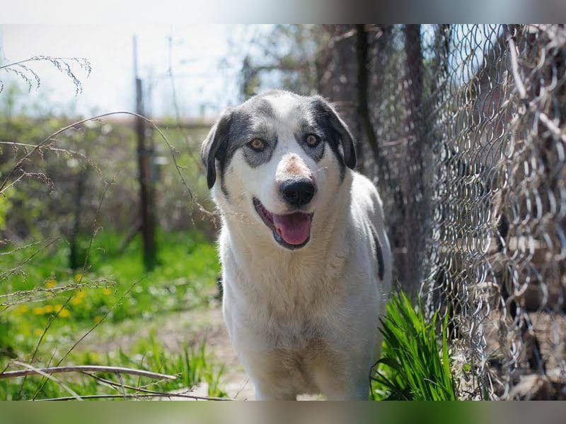 Fly: Wartet sehnsüchtig auf ihr Zuhause