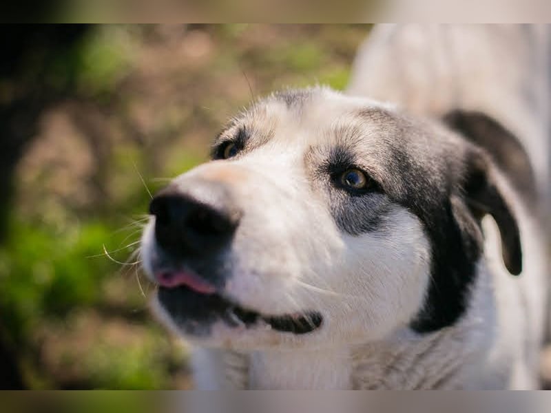 Fly: Wartet sehnsüchtig auf ihr Zuhause