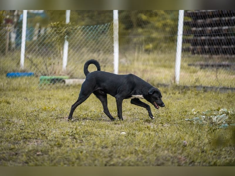 Larry: Sportskanone sucht Gleichgesinnte