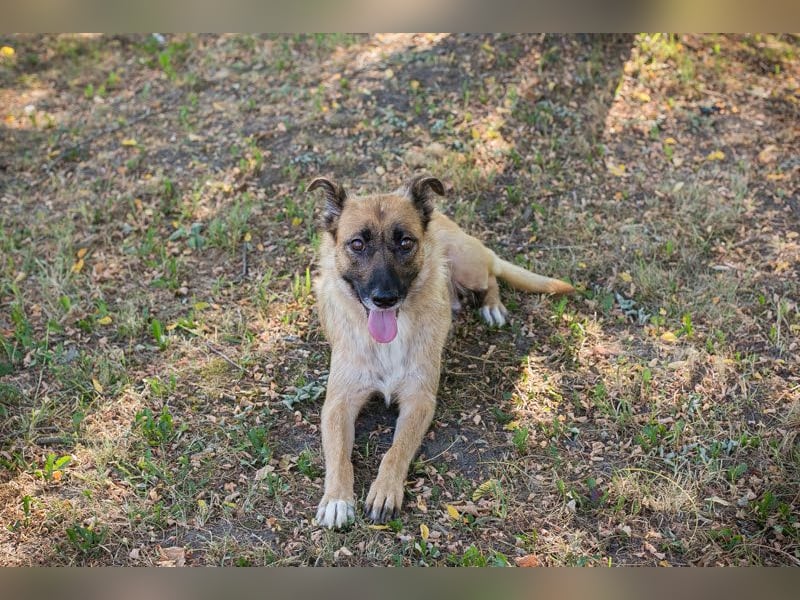 Rube: Sucht ein Zuhause