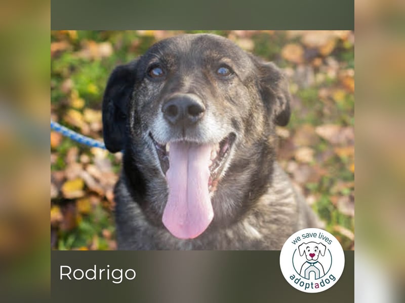 Rodrigo: Geduld zahlt sich aus