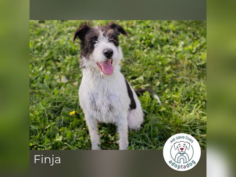 Finja: sucht ein Zuhause