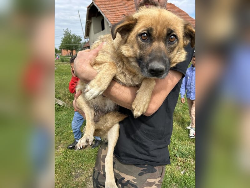 Rube: Sucht ein Zuhause