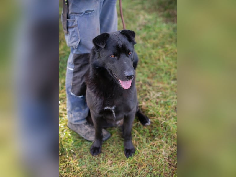 Dusty: der Herzensbrecher