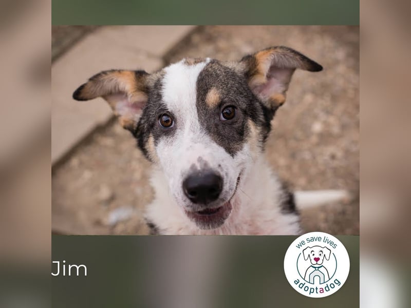 Jim: Sucht ein Abenteuer