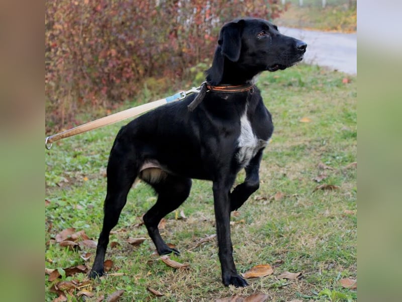 Xena: Ideal für Familien