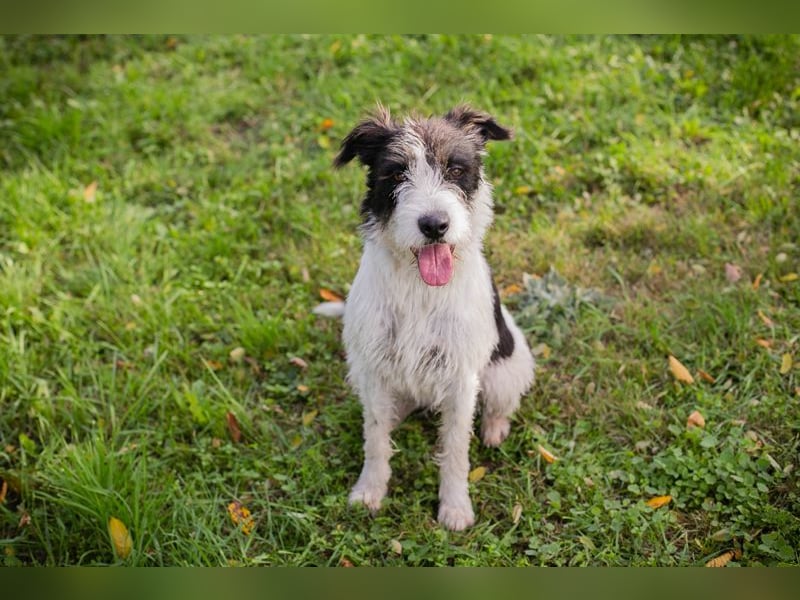 Finja: sucht ein Zuhause