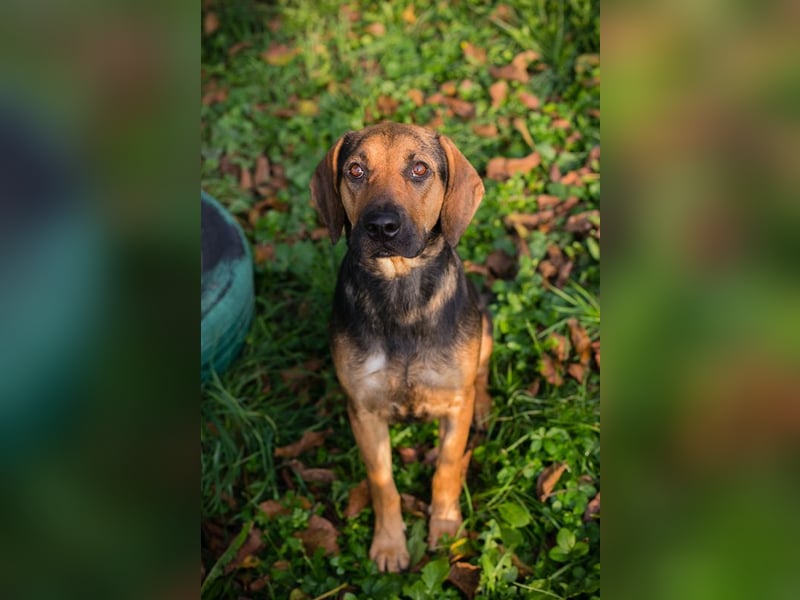 Milena: Sucht ein Zuhause