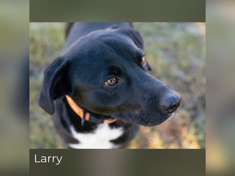Larry: Sportskanone sucht Gleichgesinnte