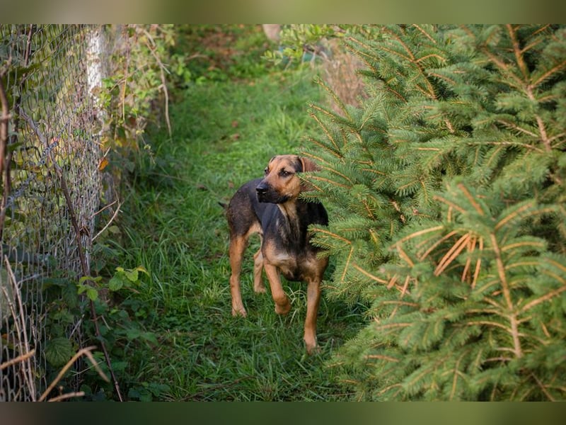 Milena: Sucht ein Zuhause