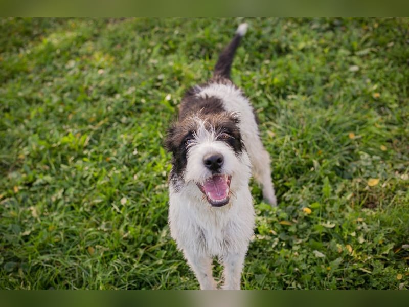 Finja: sucht ein Zuhause