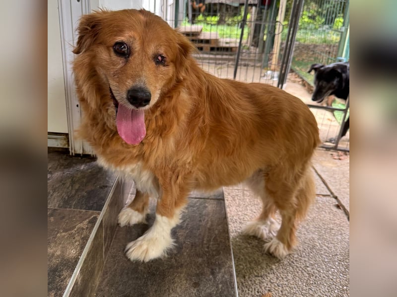 Pi: Liebevolle Seniorin