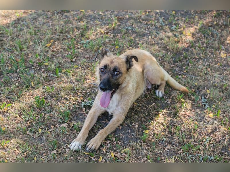 Rube: Sucht ein Zuhause