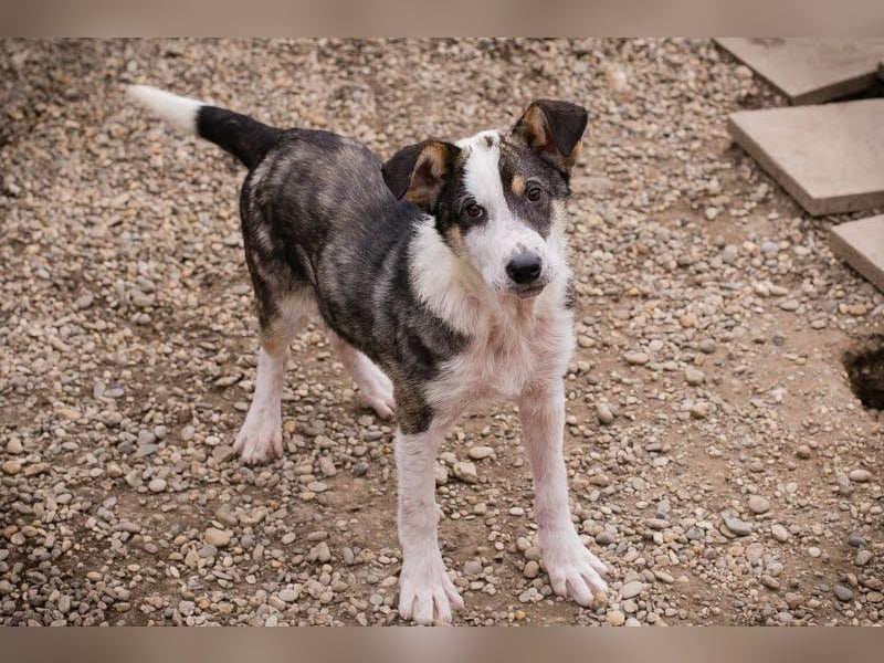 Jim: Sucht ein Abenteuer