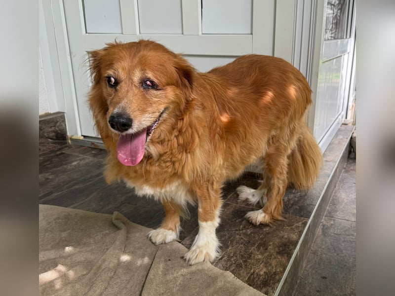 Pi: Liebevolle Seniorin