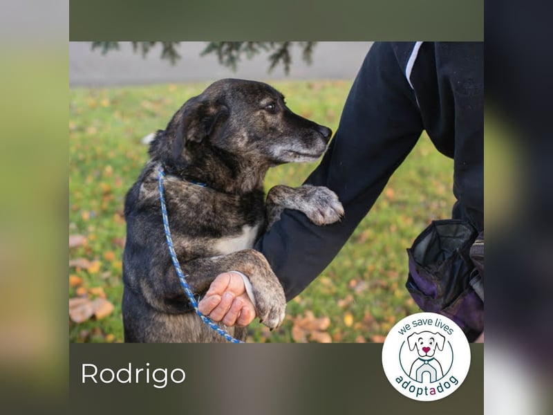 Rodrigo: Geduld zahlt sich aus