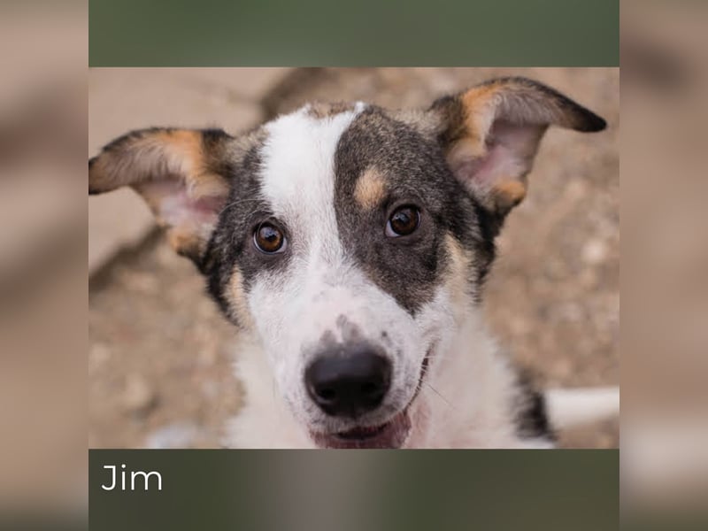 Jim: Sucht ein Abenteuer