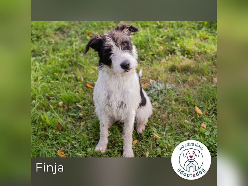 Finja: sucht ein Zuhause