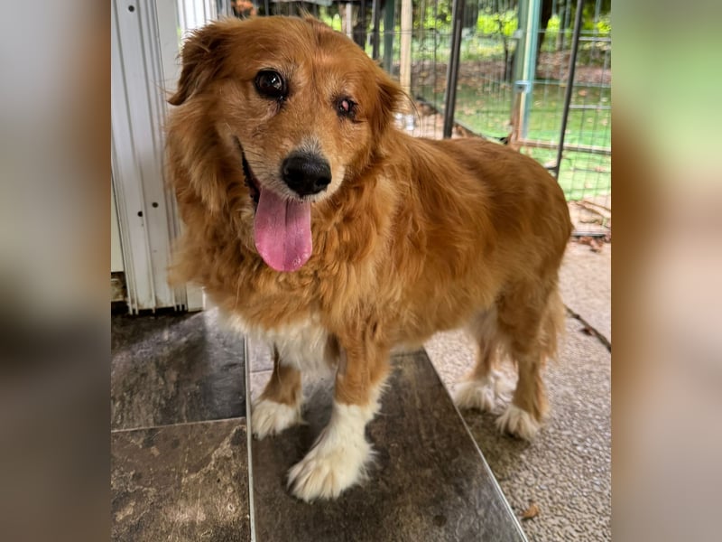 Pi: Liebevolle Seniorin