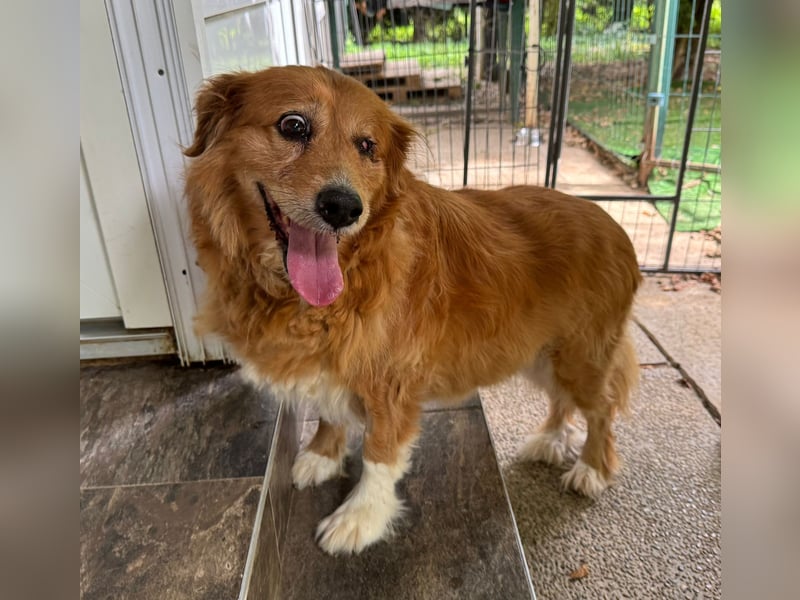 Pi: Liebevolle Seniorin