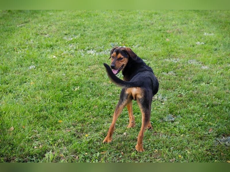 Rico – Findet der kleine Sausewind bei dir seinen Platz?