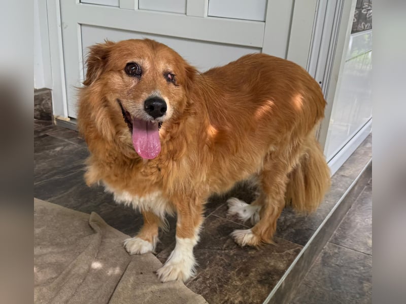 Pi: Liebevolle Seniorin