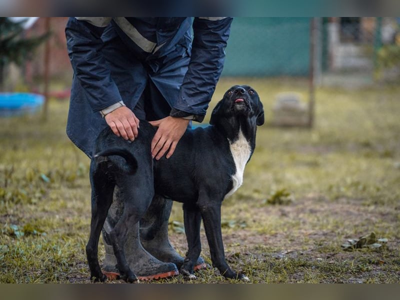 Larry: Sportskanone sucht Gleichgesinnte