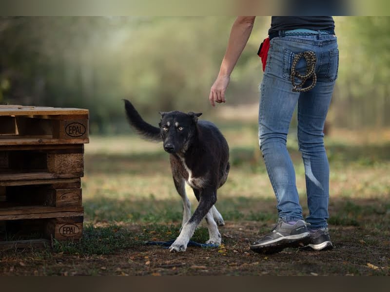 Yondu: Tapferer Schatz