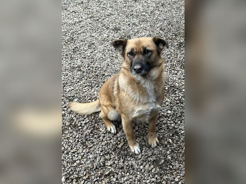 Rube: Sucht ein Zuhause