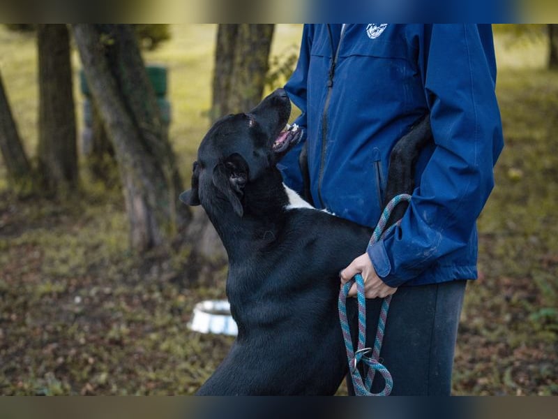 Larry: Sportskanone sucht Gleichgesinnte