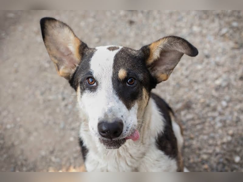 Jim: Sucht ein Abenteuer