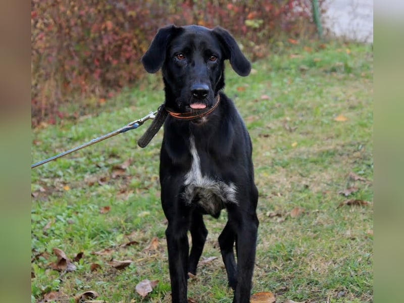 Xena: Ideal für Familien