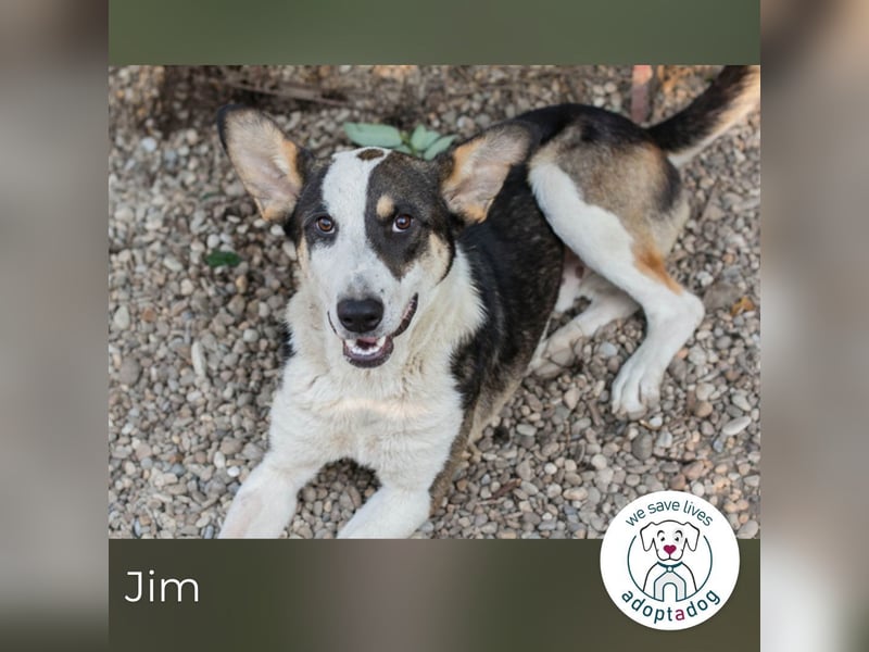 Jim: Sucht ein Abenteuer