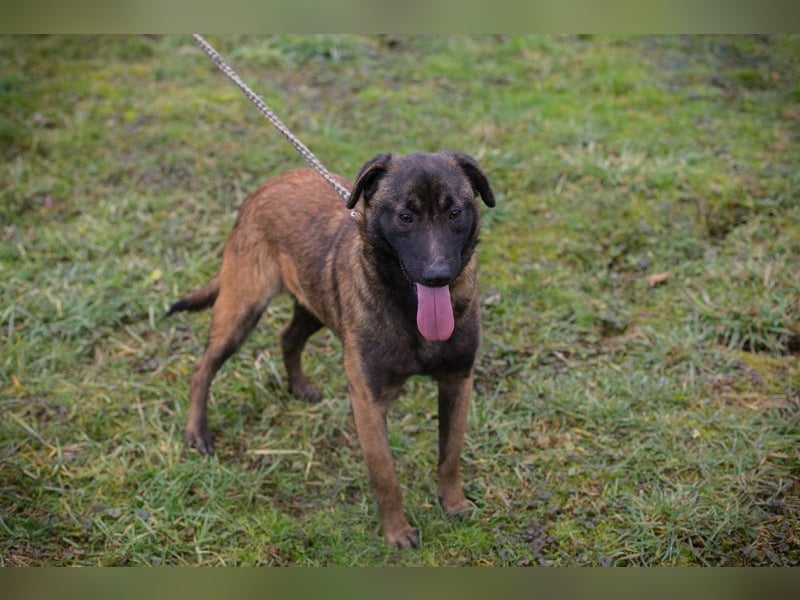 Angela sucht ein Zuhause