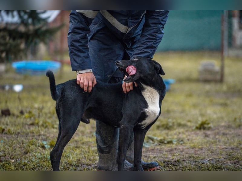 Larry: Sportskanone sucht Gleichgesinnte
