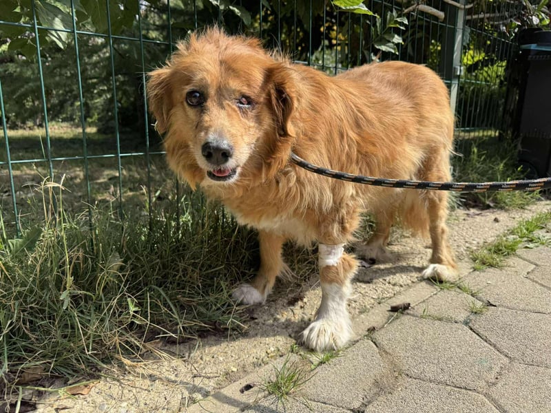 Pi: Liebevolle Seniorin